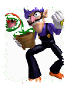 Image Loading...